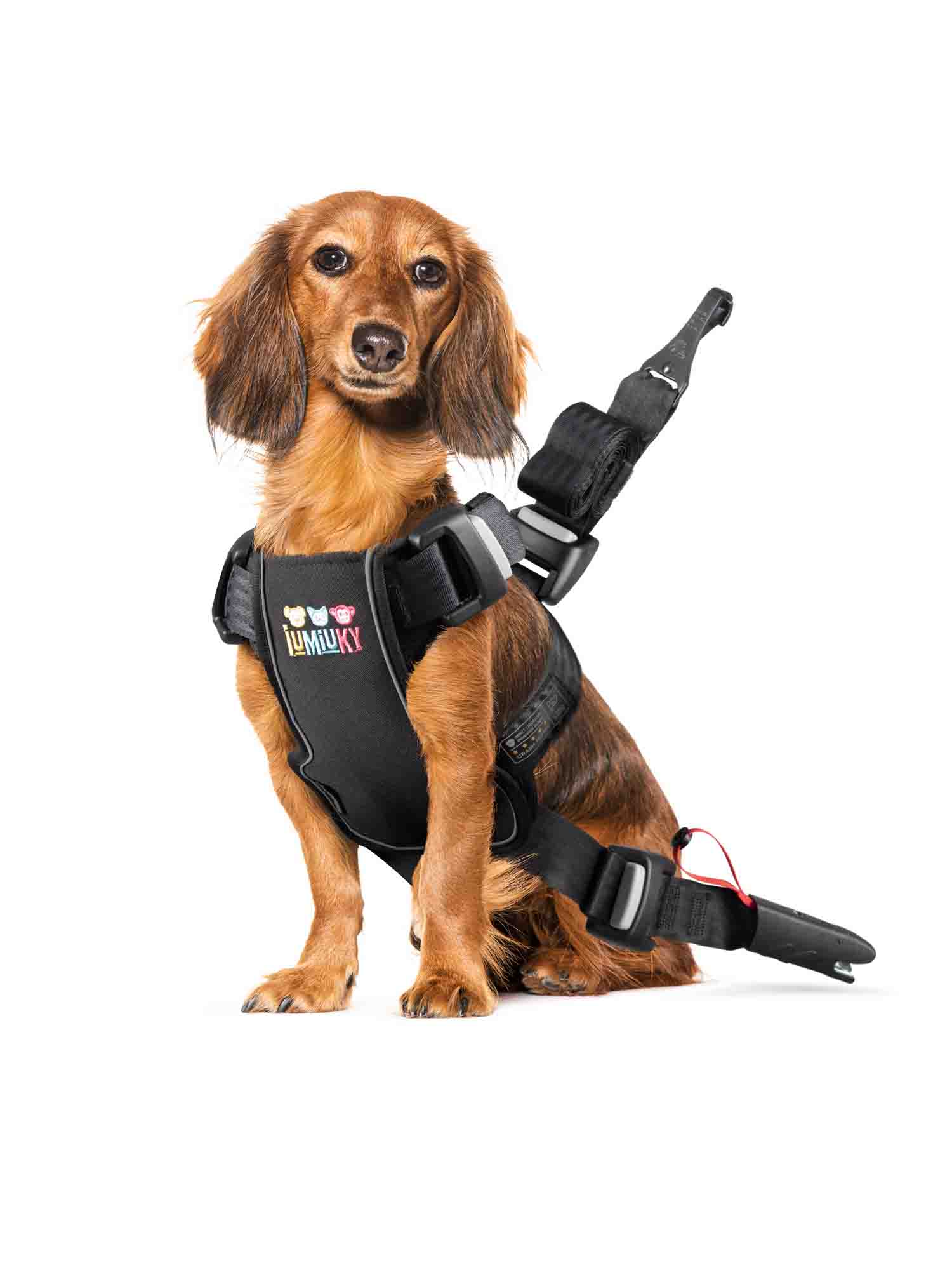 Arnés de viaje perro pequeño | arnés con isofix y top tether