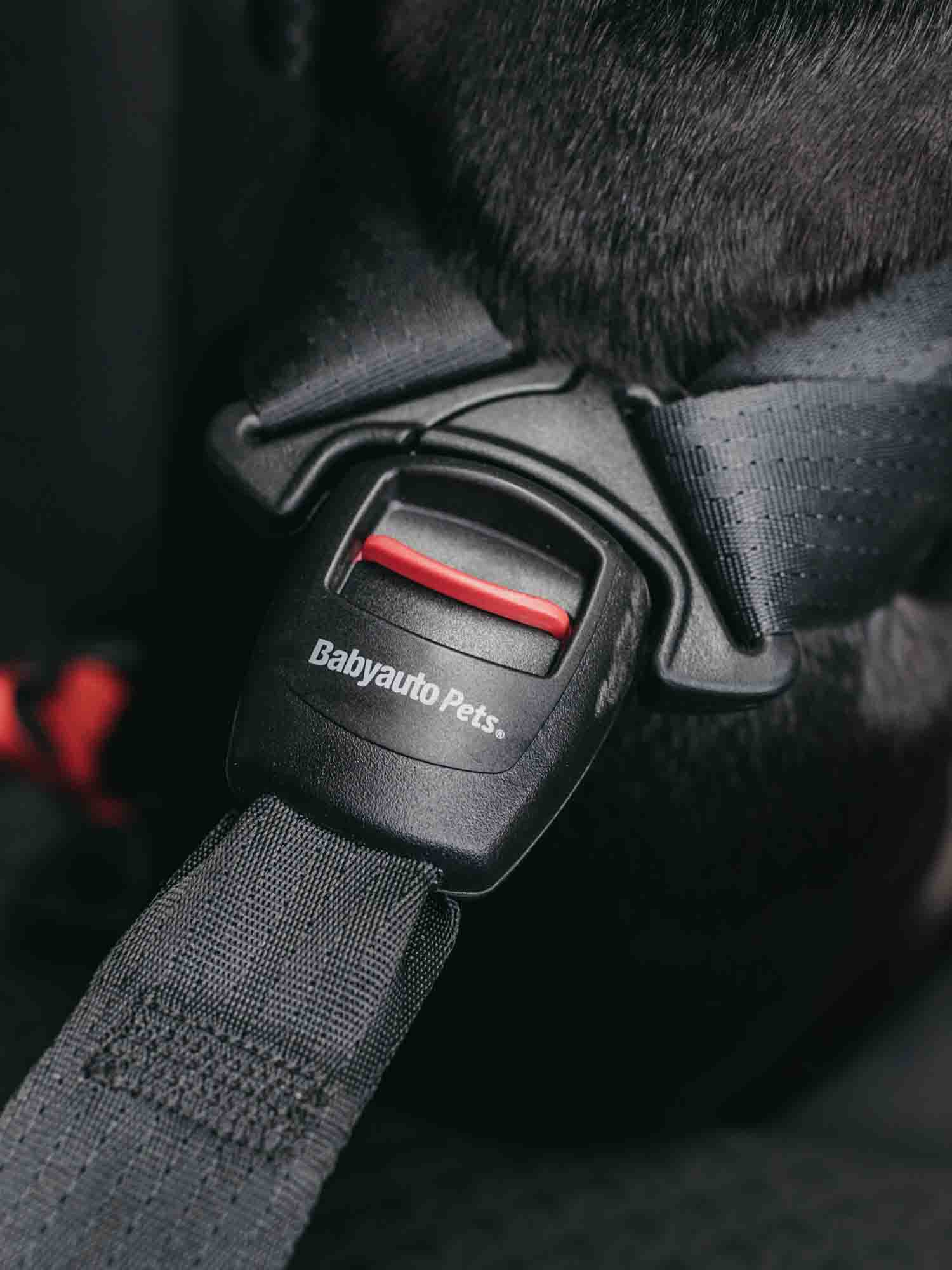 Detalle de hebilla de seguridad de arnés para perros para viajar coche