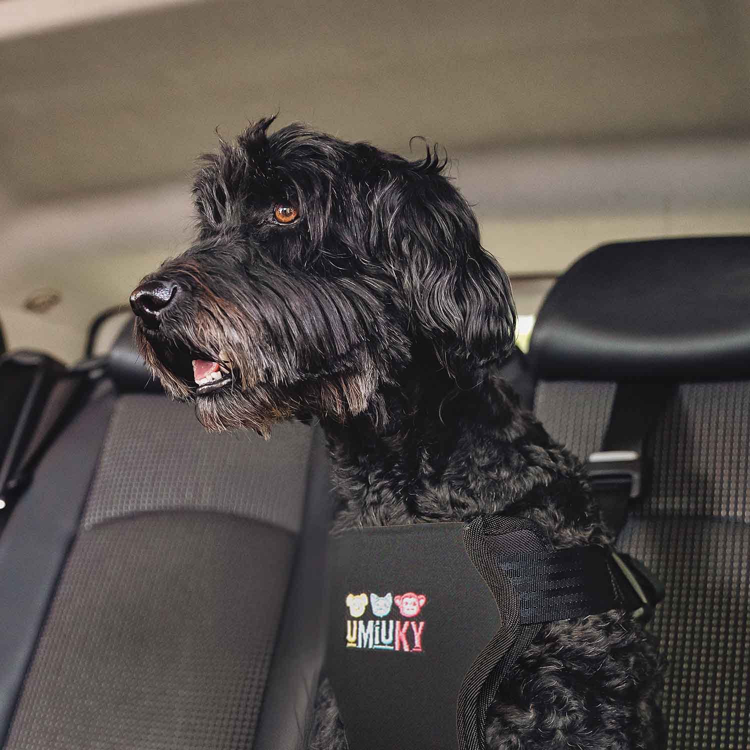 Detalle | Perro grande con arnés de coche Iumiuky Travel fix