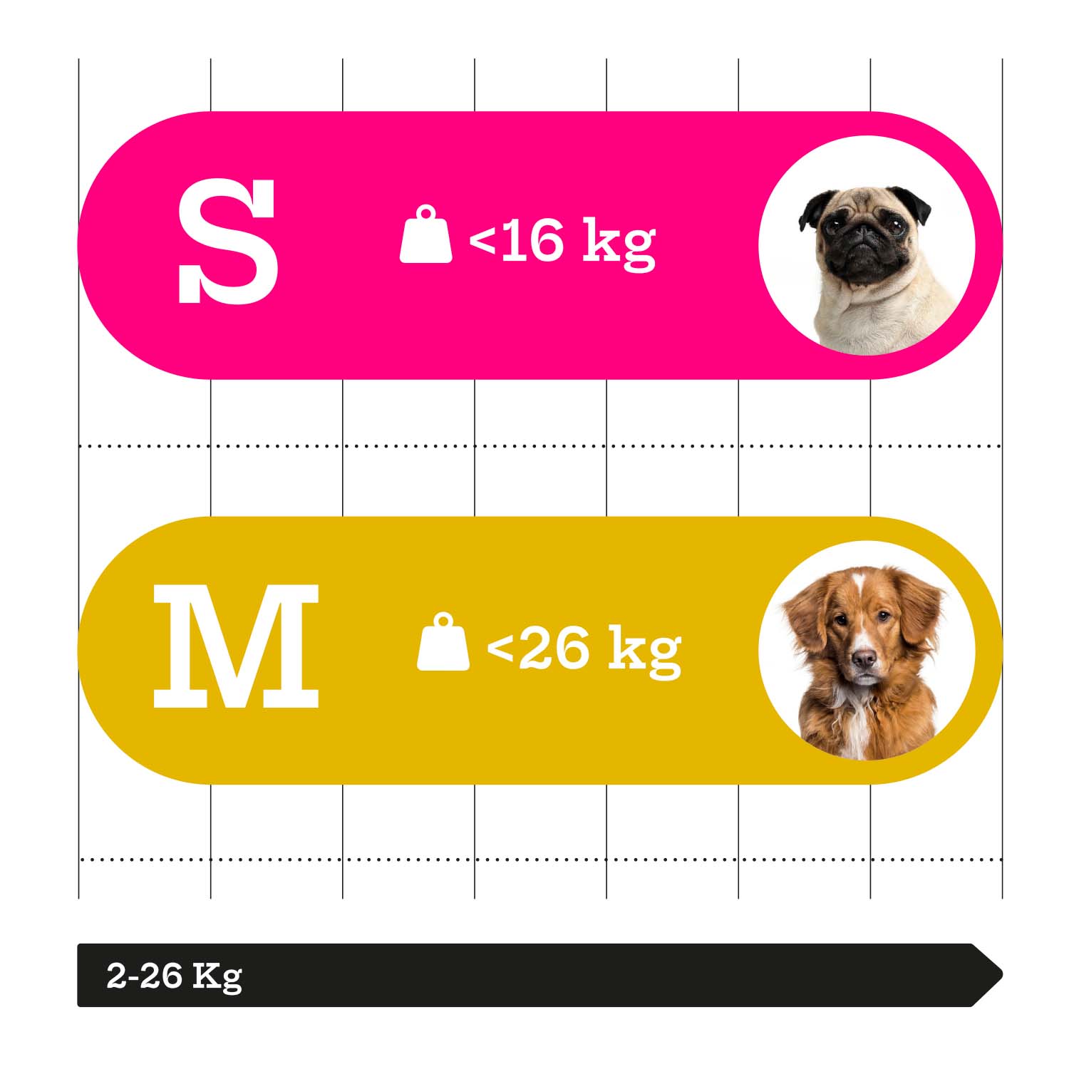 Diagrama de tallas pequeña y mediana